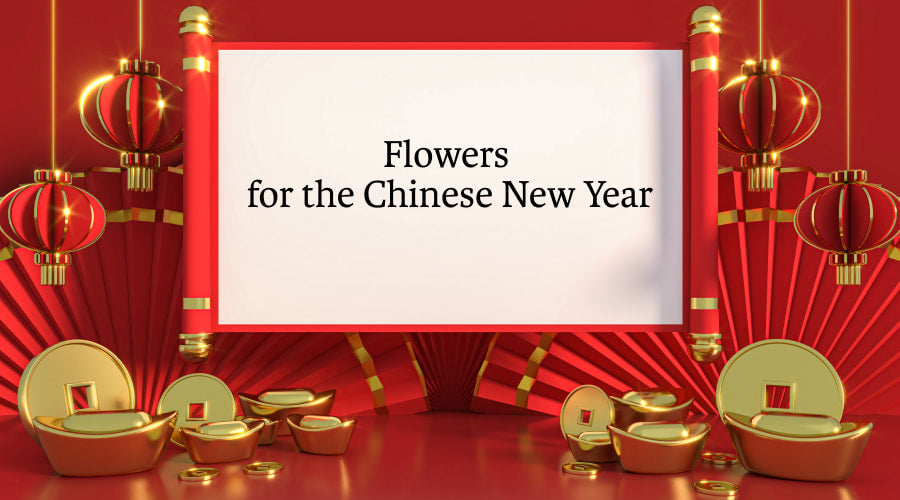 How to Choose Flowers for Chinese New Year? Rosaholics