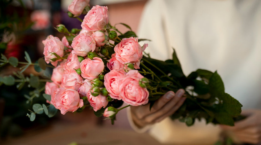 How To Make Flower Food For Roses How To Make Flower Food For Roses