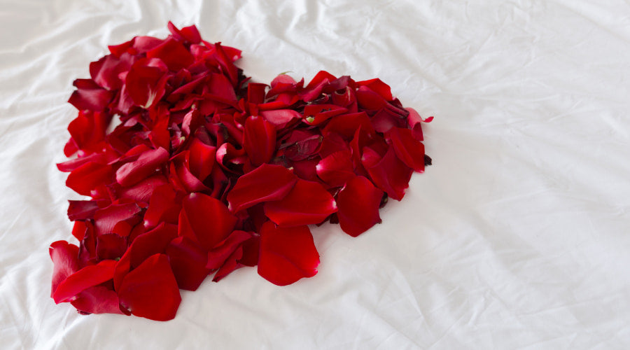 top-6-ideas-how-to-use-rose-petals-in-body-care-rosaholics