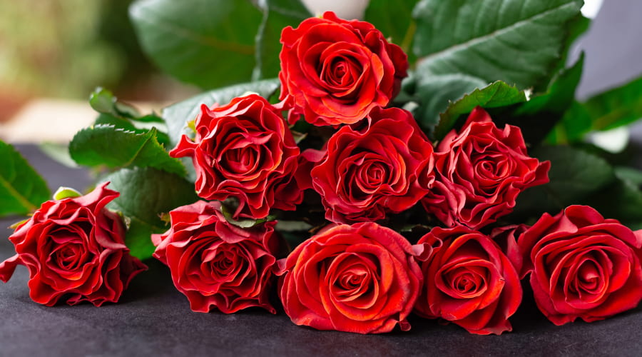 Why Roses are the Most Romantic Flowers? Rosaholics
