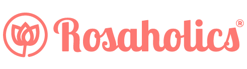 Rosaholics | Fresh Flowers Farm to Door | Shop Quality Roses