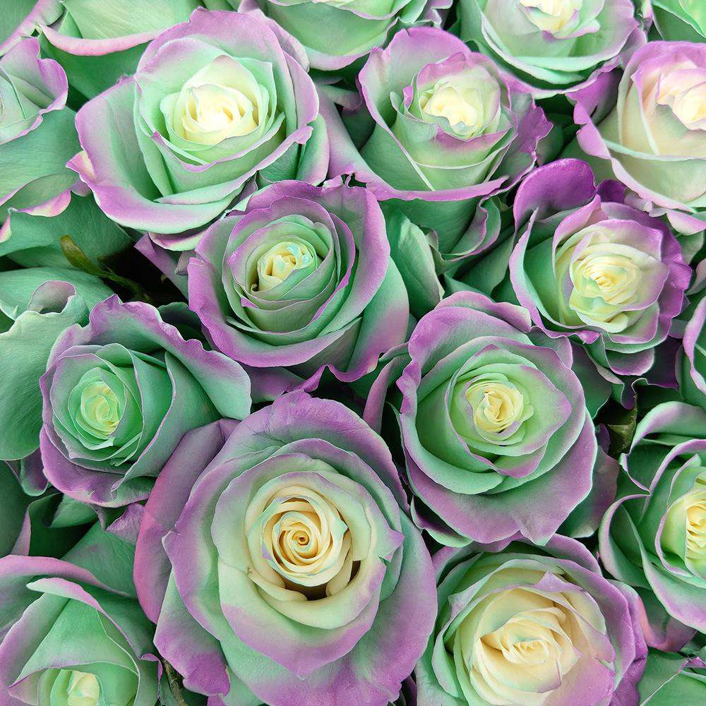 Close-up of Aquamarine Rose Bouquet by Rosaholics