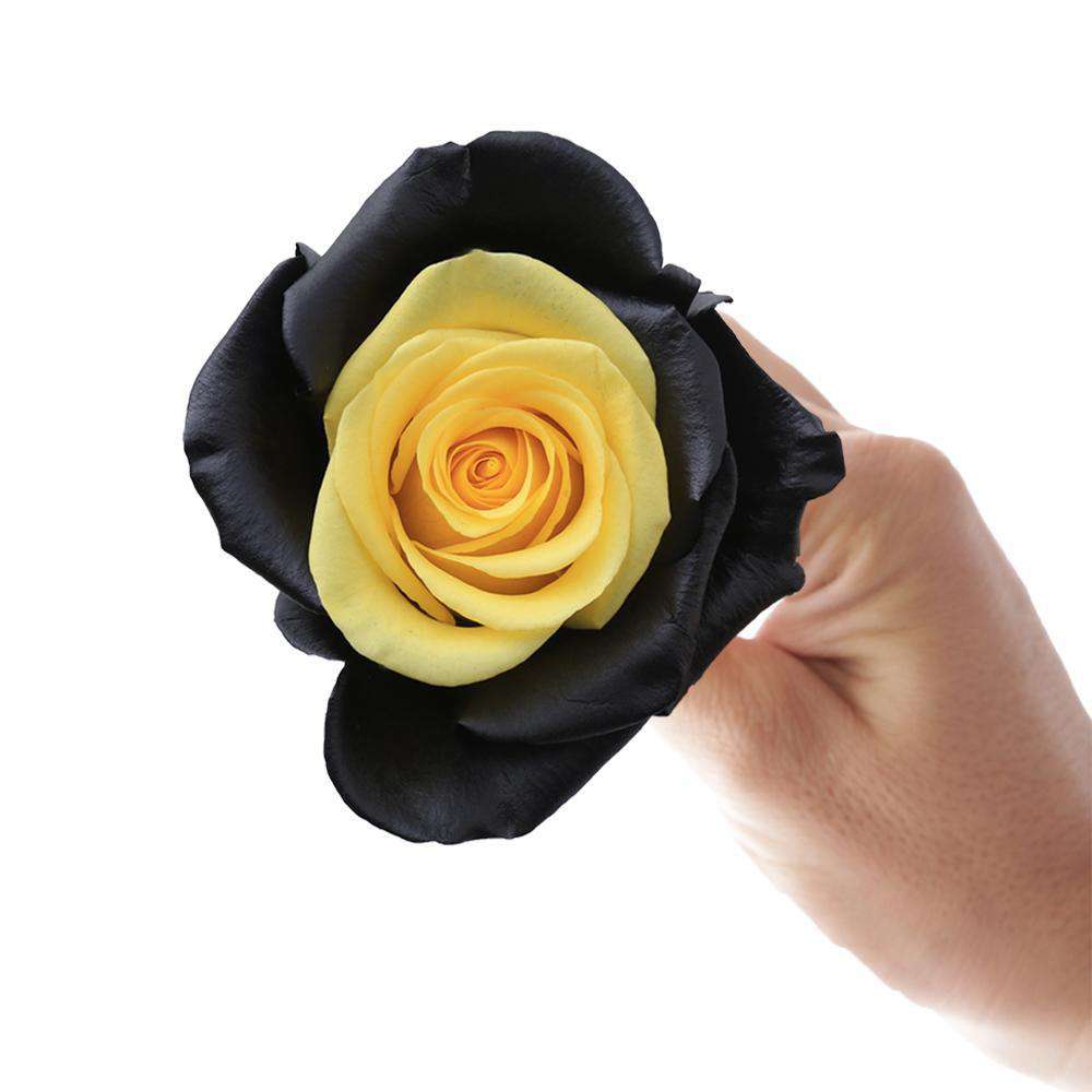 black rose, adorned with striking yellow center