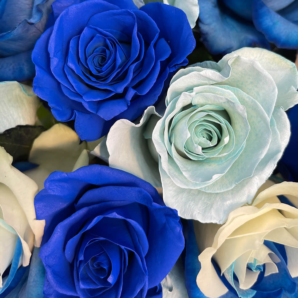 Close-up of Blue Bay Rose Bouquet by Rosaholics