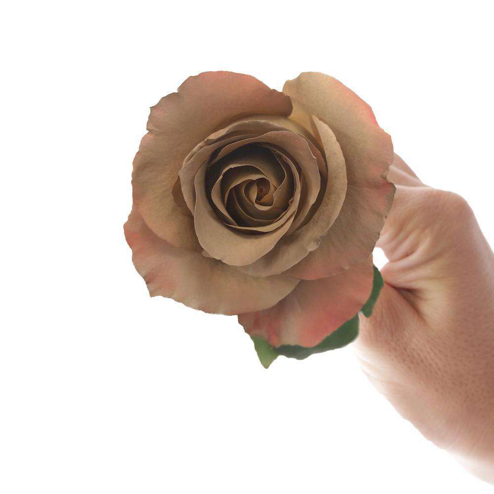 Chenoa Rose Bouquet - Rosaholics