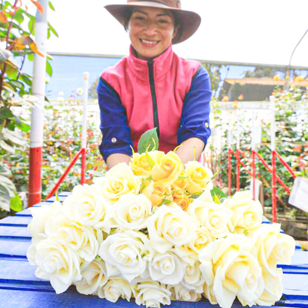 a woman is collecting a bouquet of roses on a farm