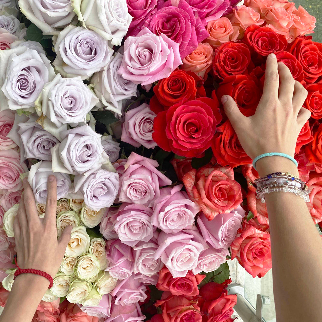 A person's hands touching a vibrant assortment of roses