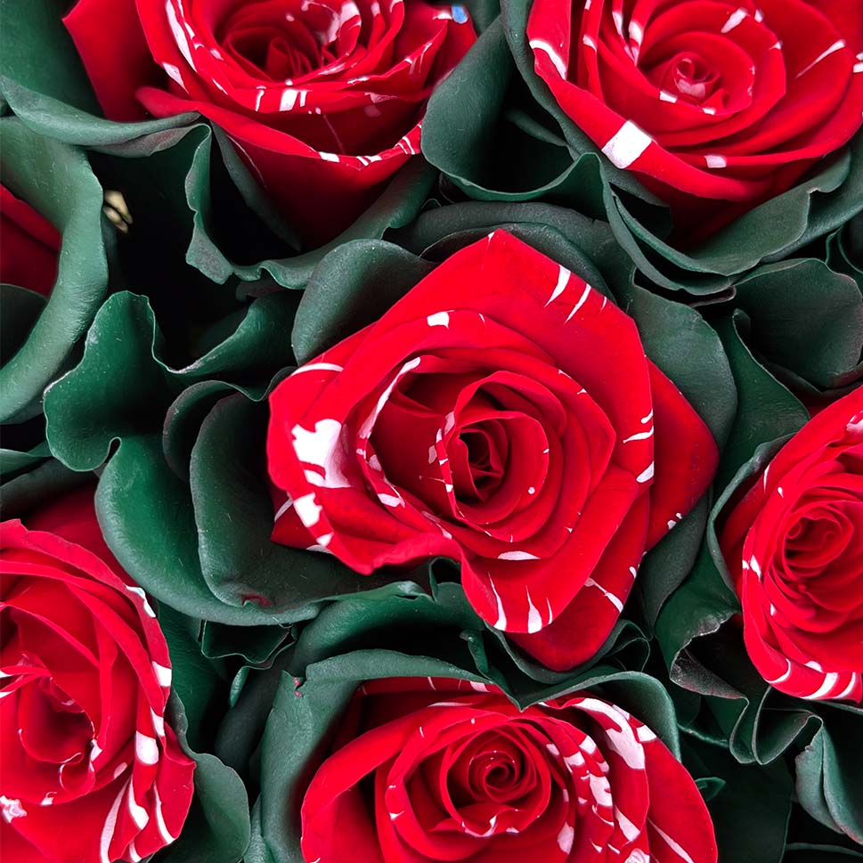 Close-up of Juniper Rose Bouquet by Rosaholics