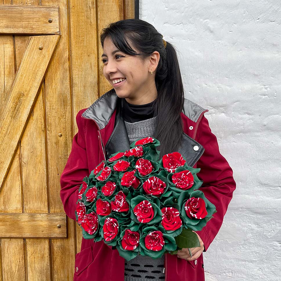 A young woman is holding a Juniper bouquet - Christmas roses