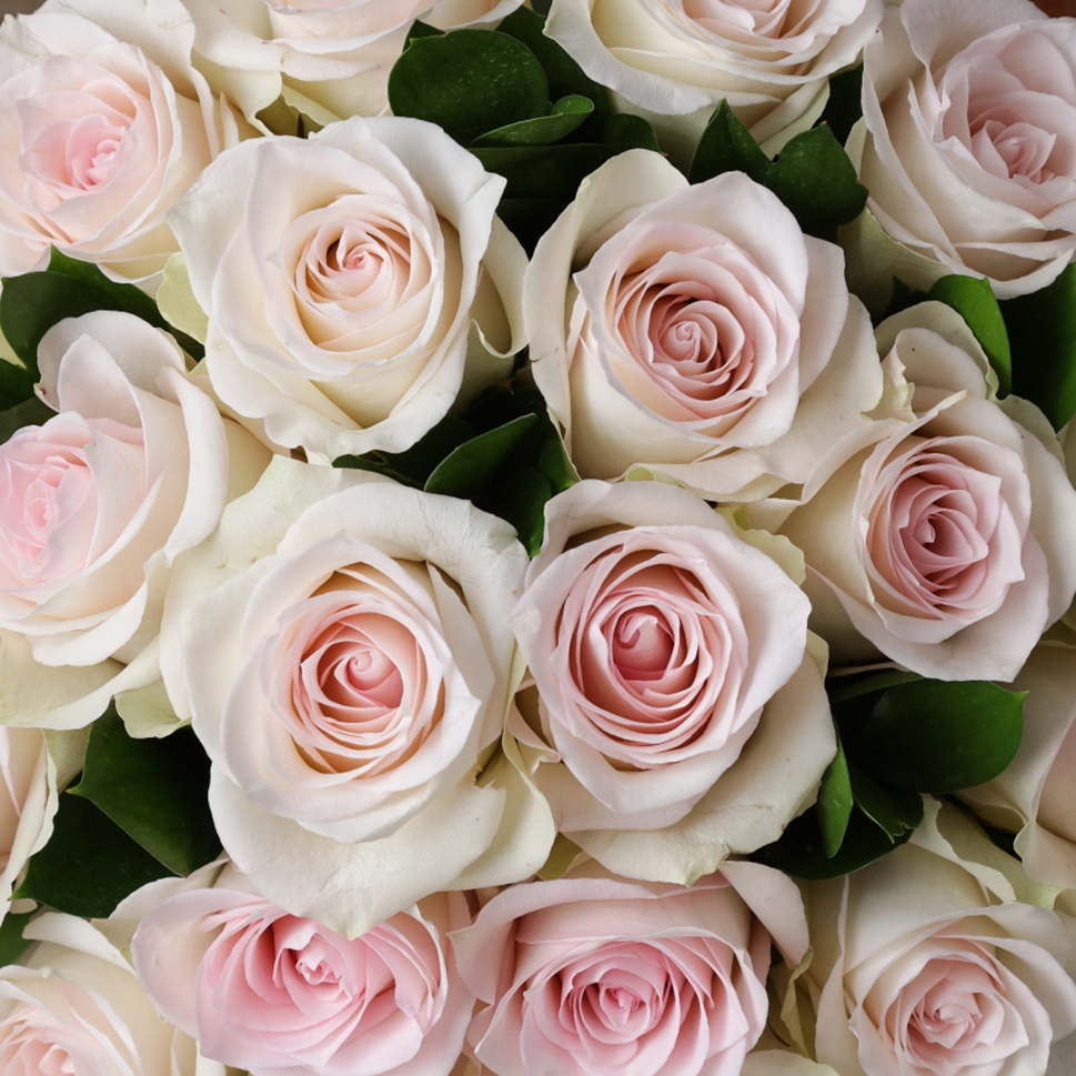 Close-up of Pink Roses Bouquet