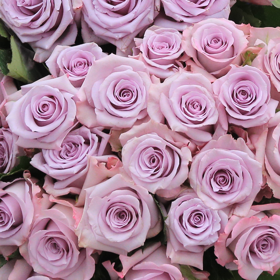 Close-up of Vintage Rose Bouquet | Lavender Roses by Rosaholics