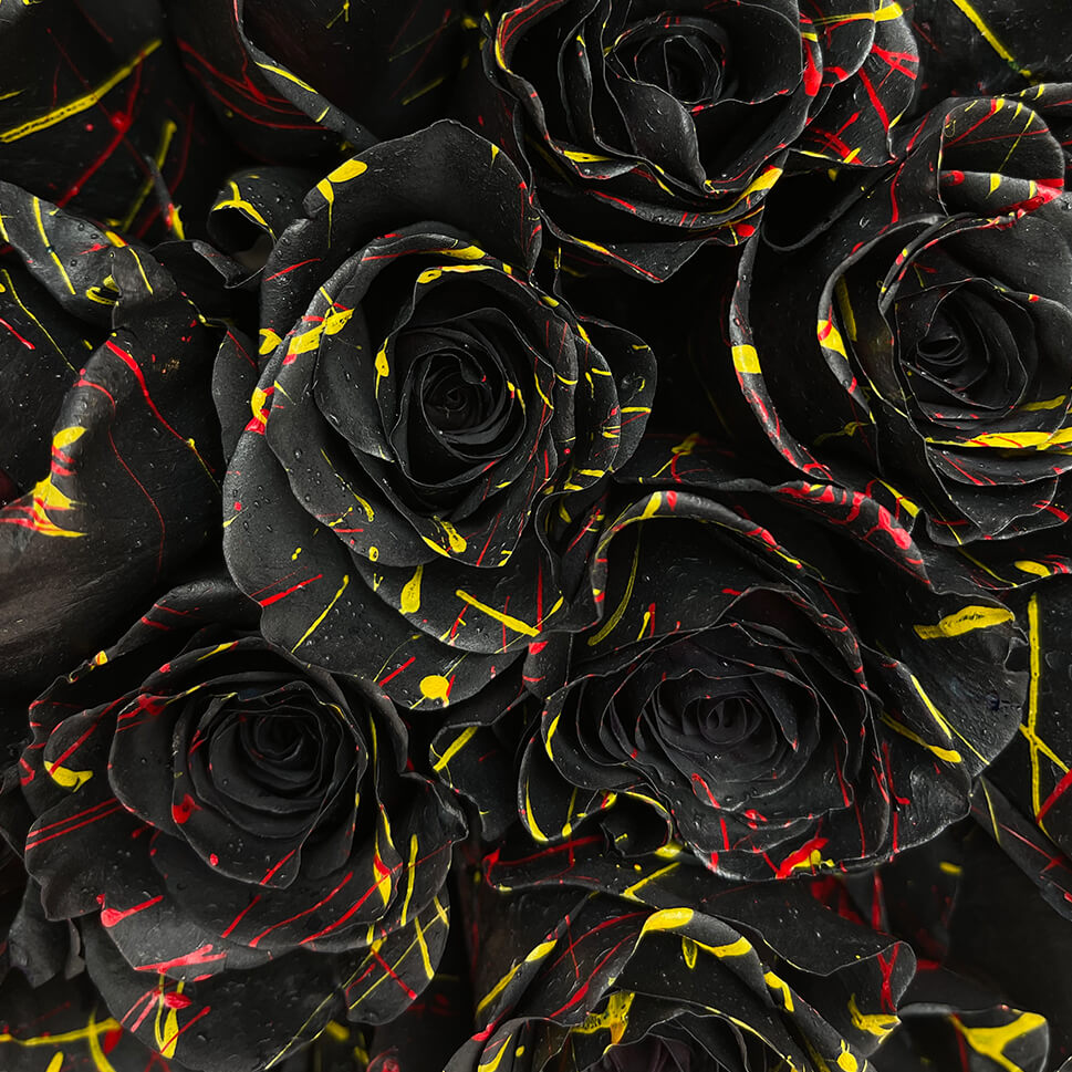 Close-up of XOXO Black Roses Bouquet by Rosaholics