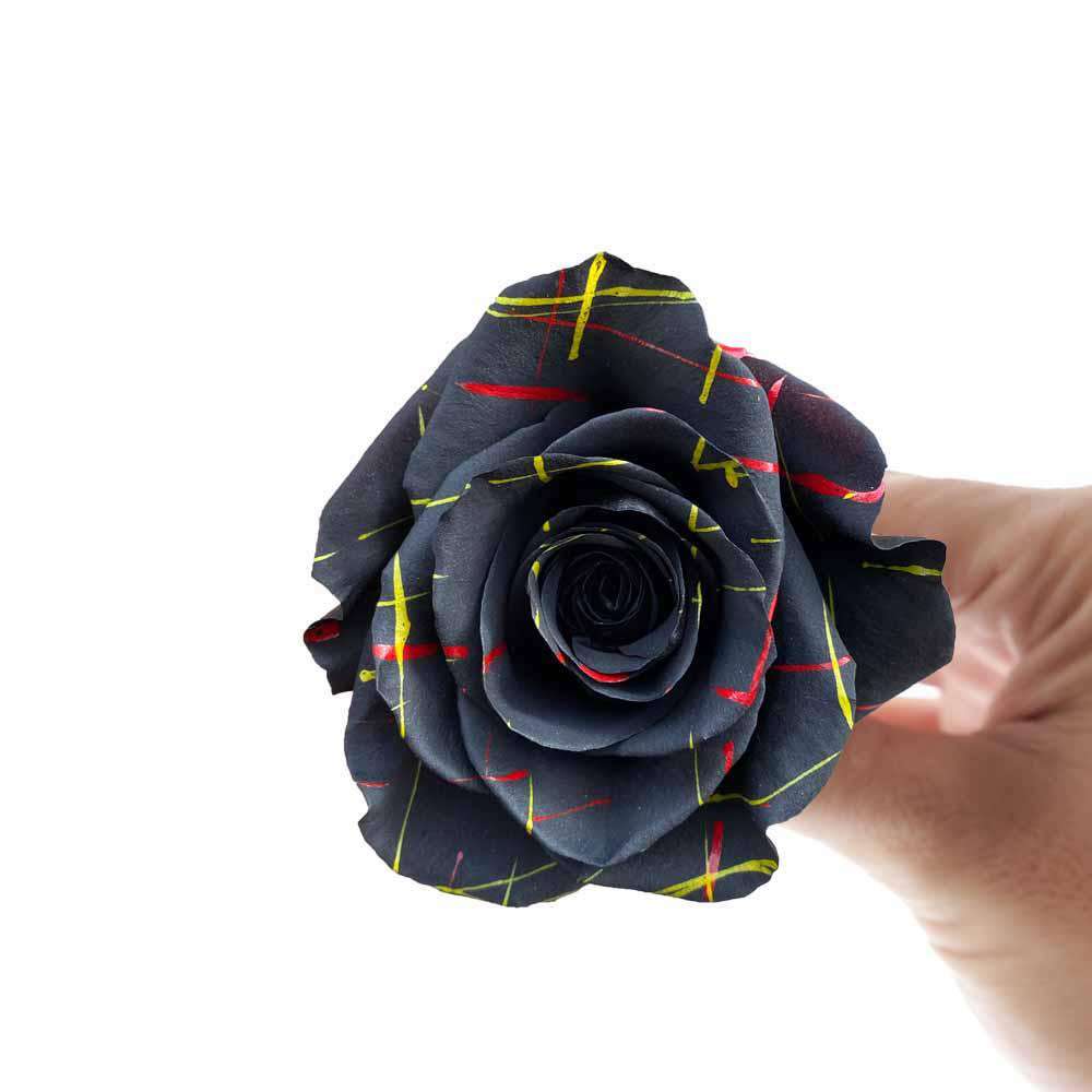 Single black rose from XOXO Black Bouquet