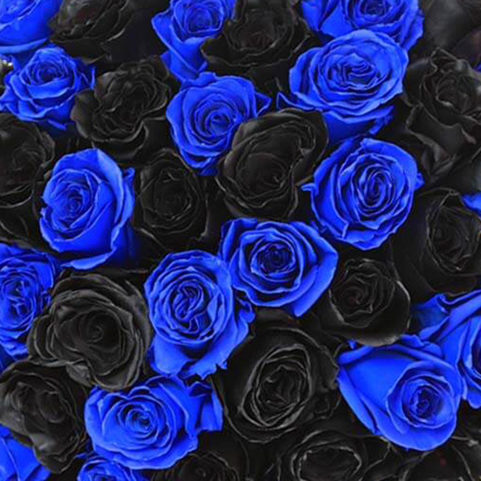 Close-up of Black and Blue Roses Bouquet by Rosaholics