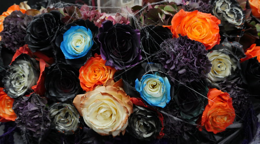 Haloween Roses Gifts Ideas with Spooky Roses – Rosaholics