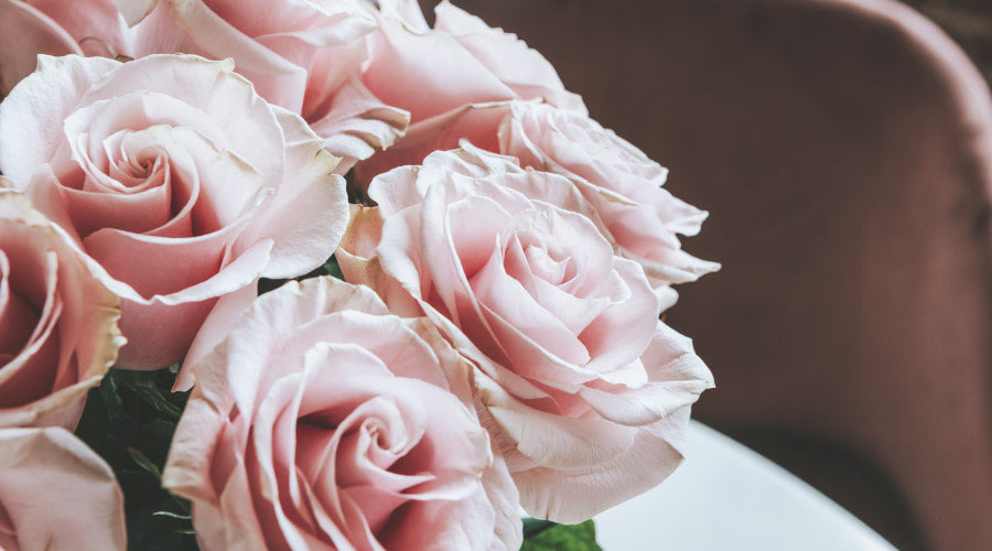 Pink Roses: Meaning, History, and Best Uses – Rosaholics
