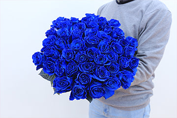 Do Blue Roses Exist? – Rosaholics