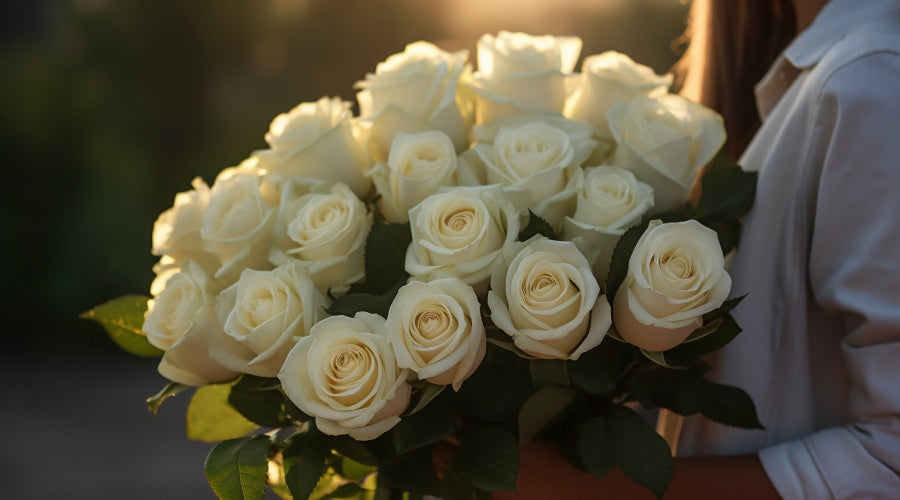 What do White Roses Mean in a Relationship? - Rosaholics