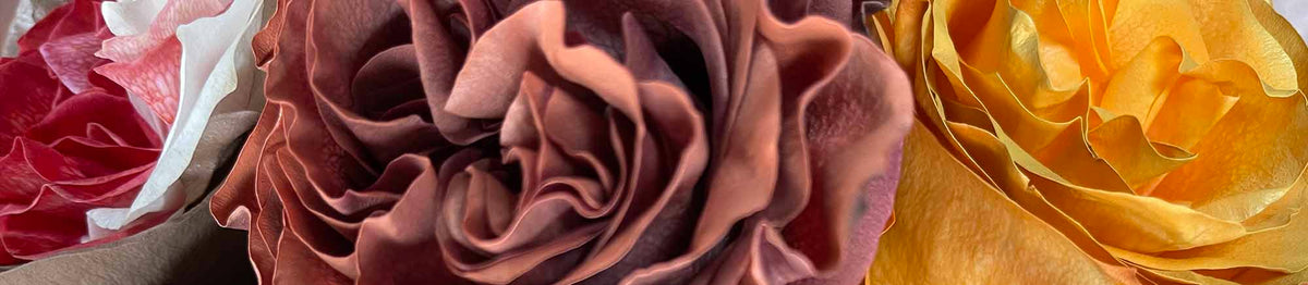 Fresh Fall Flowers Collection | Rosaholics.com