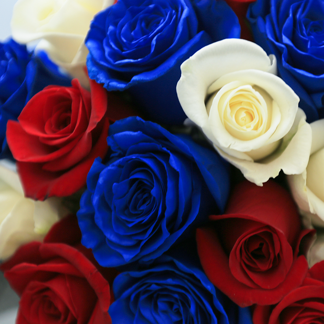 Americana - Order Red, White & Blue Roses at Rosaholics