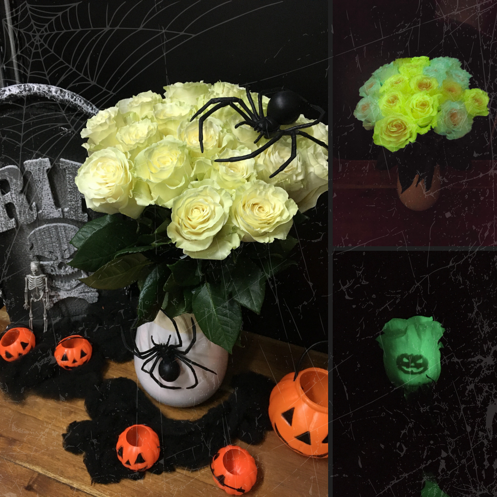 Gloomcore Roses Phantom's Glow An Elegant Rose With a Mystical Glow – Rosaholics