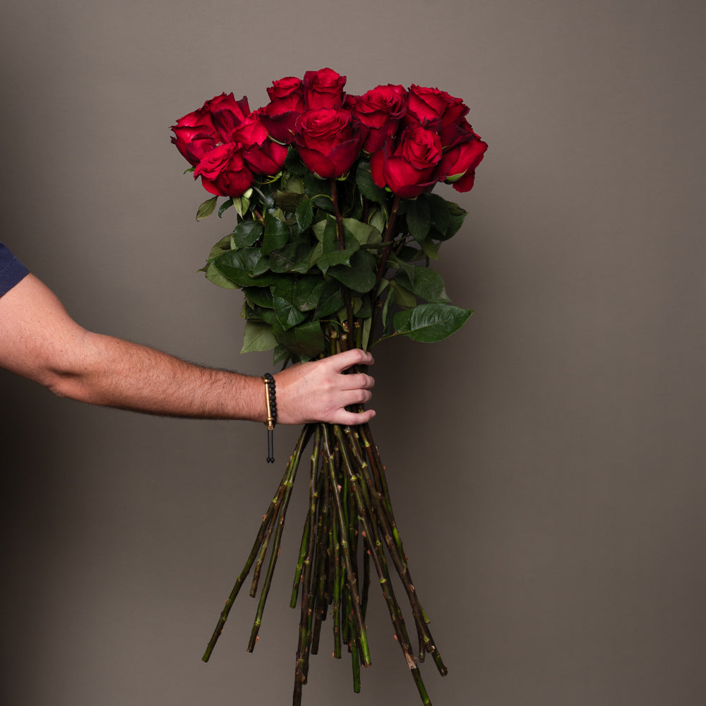 Long Red Roses Line Long Red Roses Delivery – (2 DZ, 24 inches) | Rosaholics