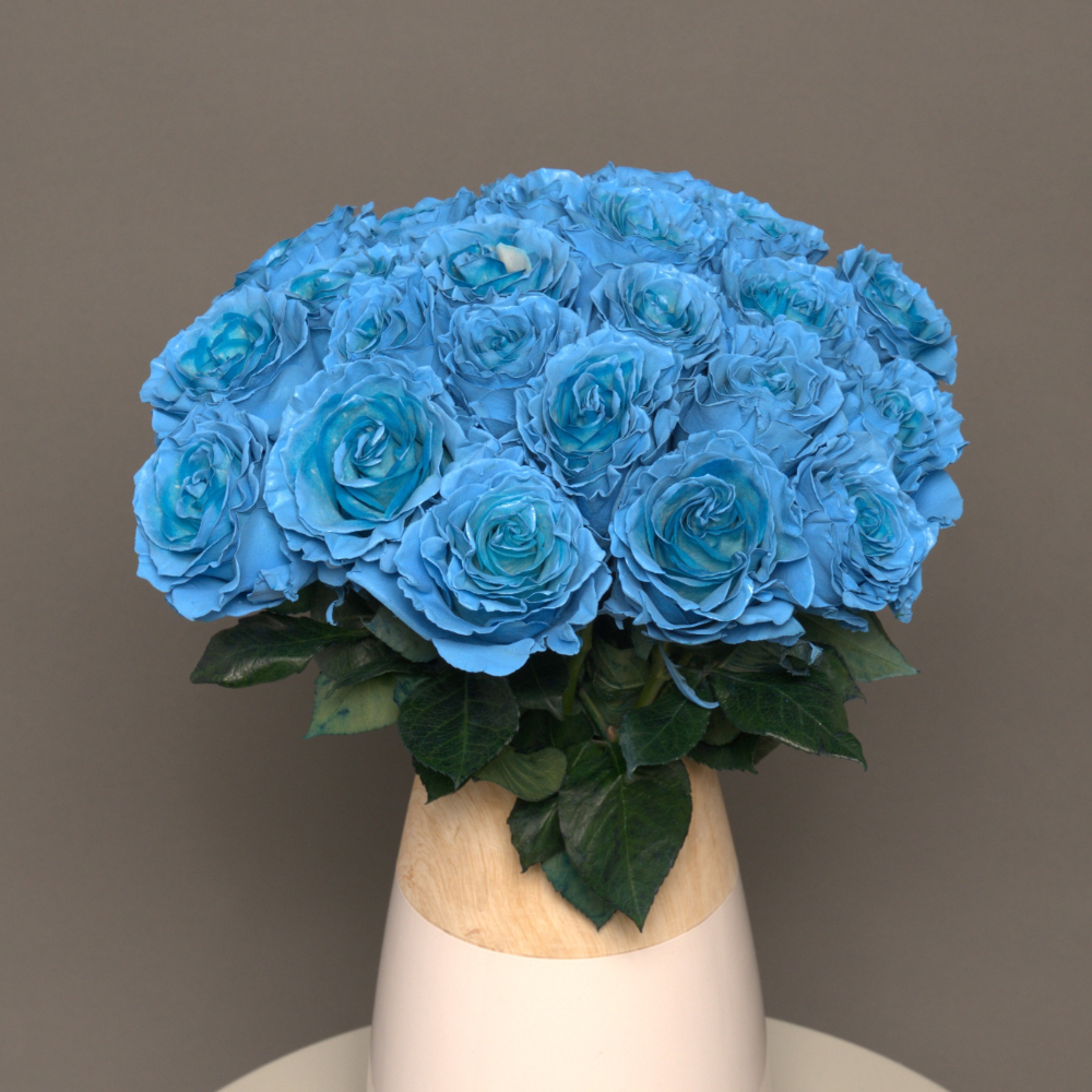 Send Blue Roses Online | Blue Roses Delivery — Rosaholics