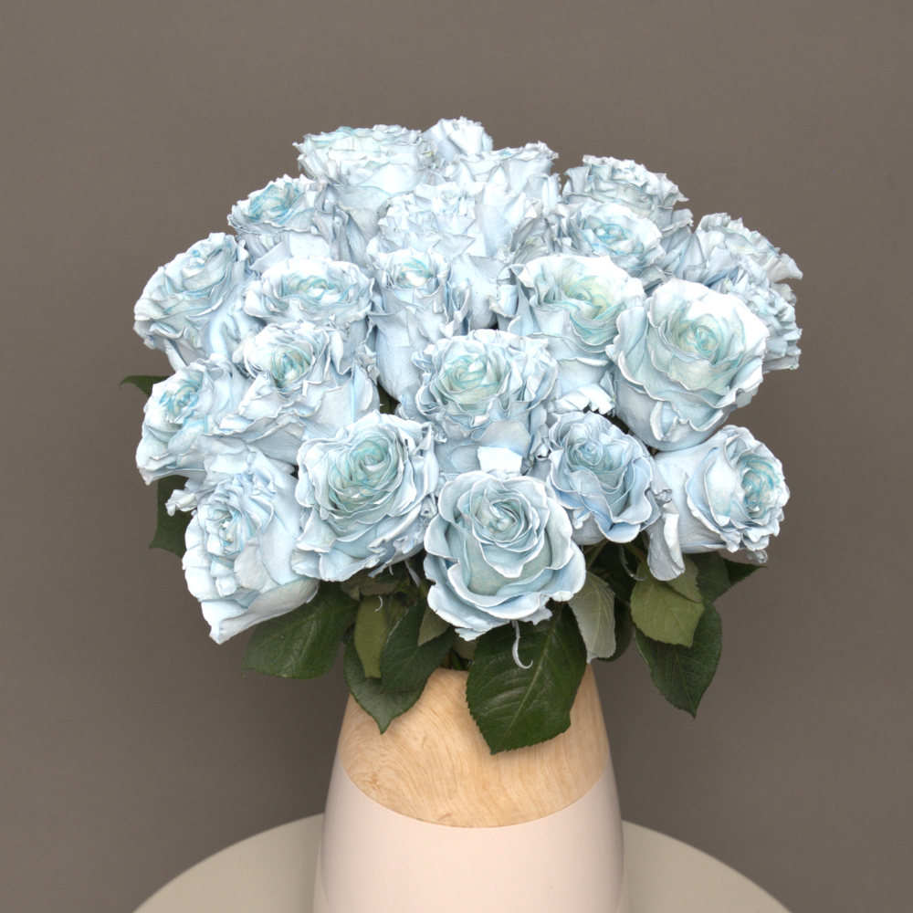 Send Blue Roses Online | Blue Roses Delivery — Rosaholics