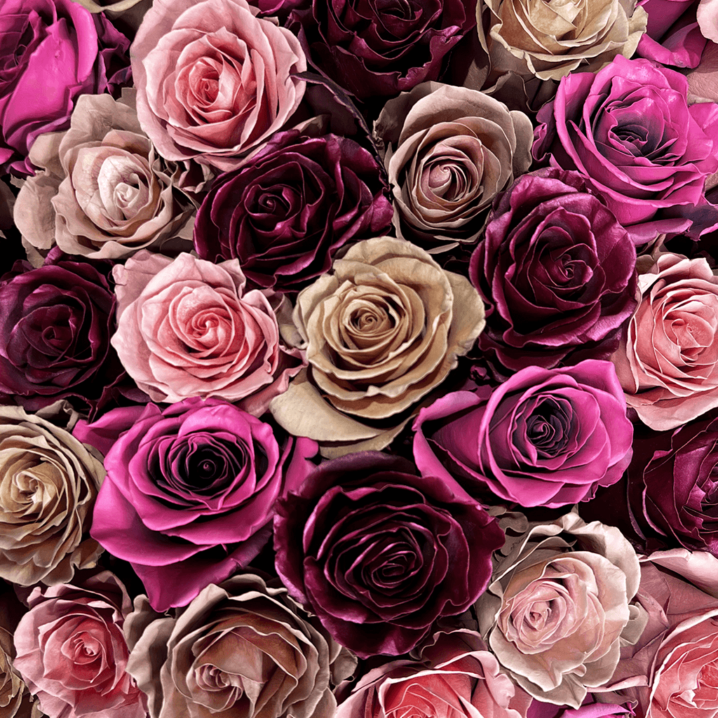 Close-up of Maple Serenade pink roses bouquet
