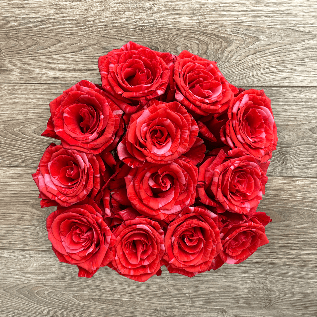 Wild Roses Wildcat Rosaholics | Fresh Flowers Farm to Door | Shop Quality Roses