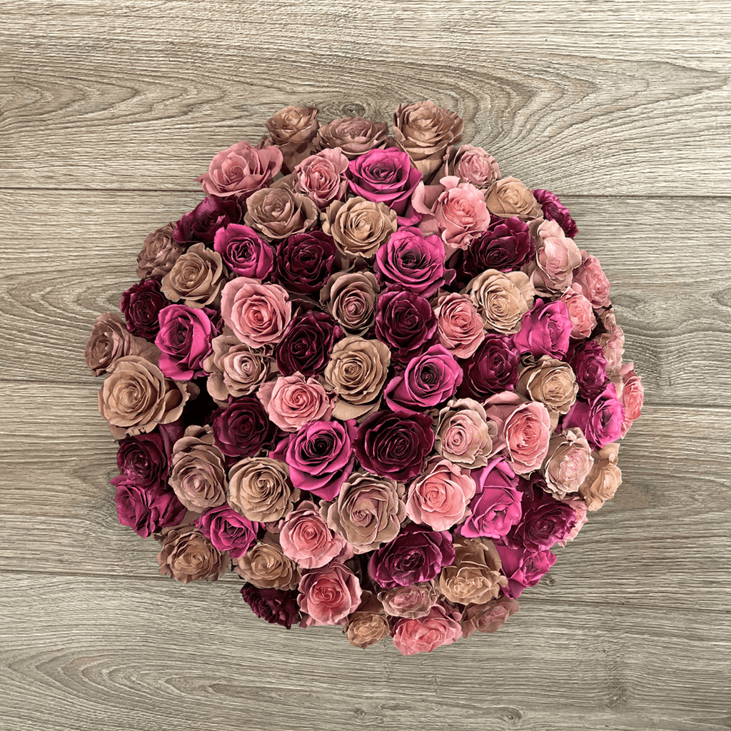 Rare, Exotic & Unique Roses Collection - Rosaholics