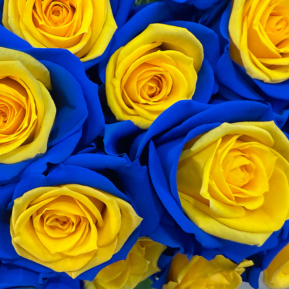 Close-up Blue and Yellow Roses Bouquet