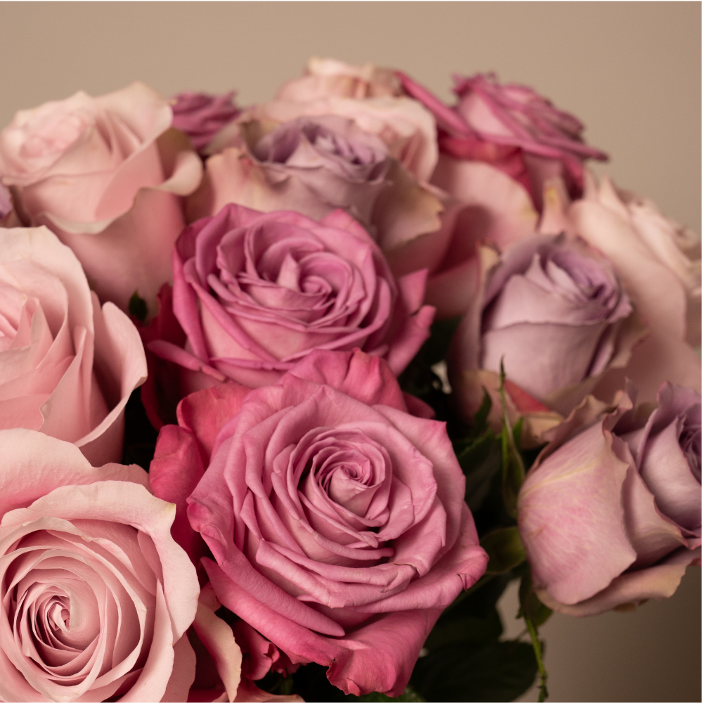 Cheshyre Pink Rose Bouquet | Pink Roses Delivery – Rosaholics