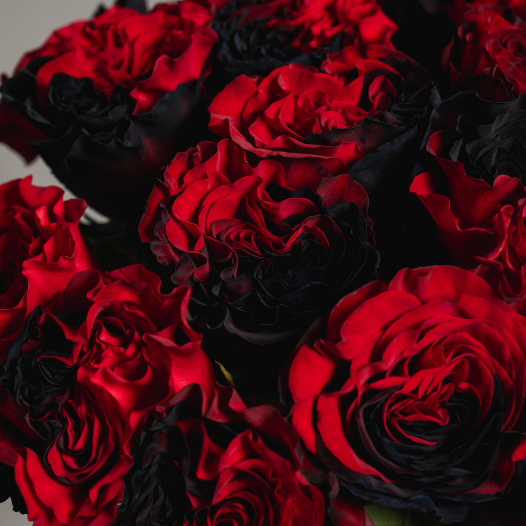 Roses For Him | Flowers Bouquets For Men – Rosaholics