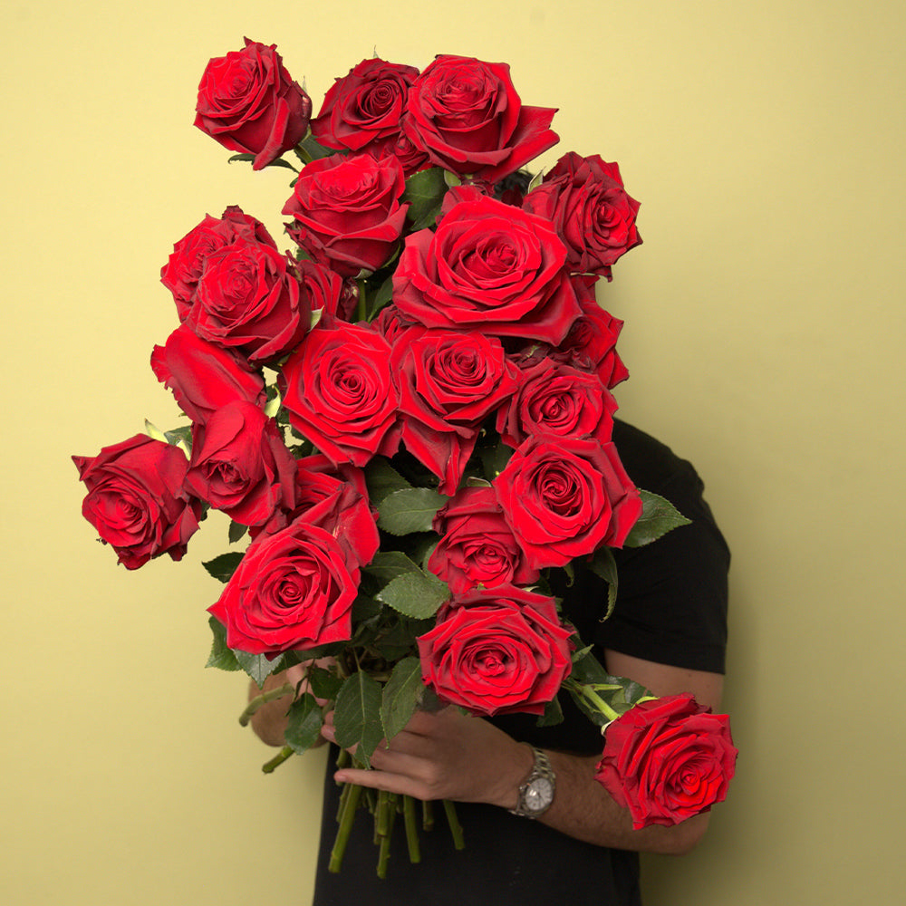 Long Red Roses Line Long Red Roses Delivery – (2 DZ, 24 inches) | Rosaholics