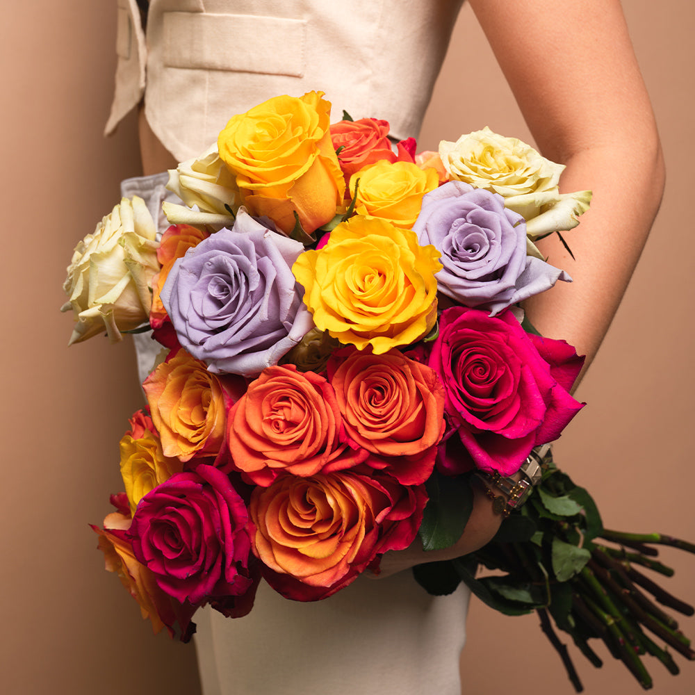 Multicolor Roses | Colored Roses Delivery – Rosaholics