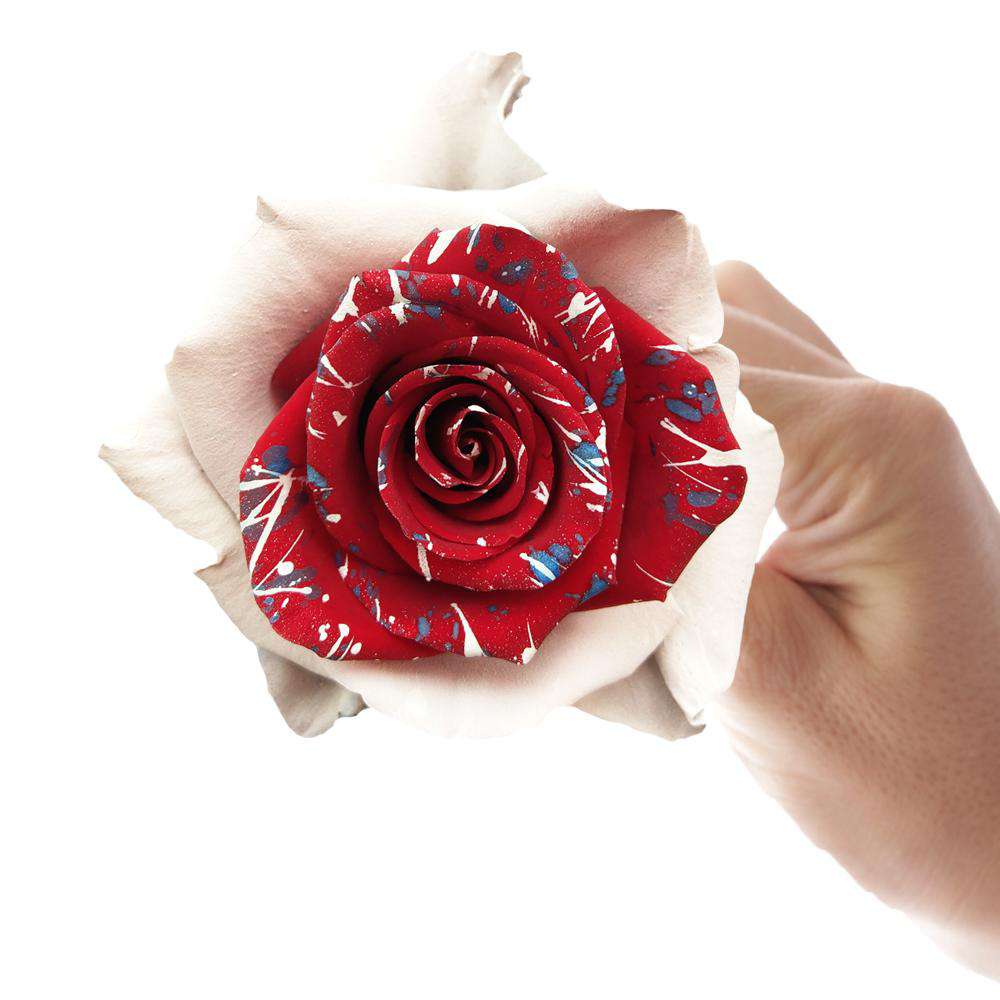 4 Decorations From Rose Petals – Rosaholics