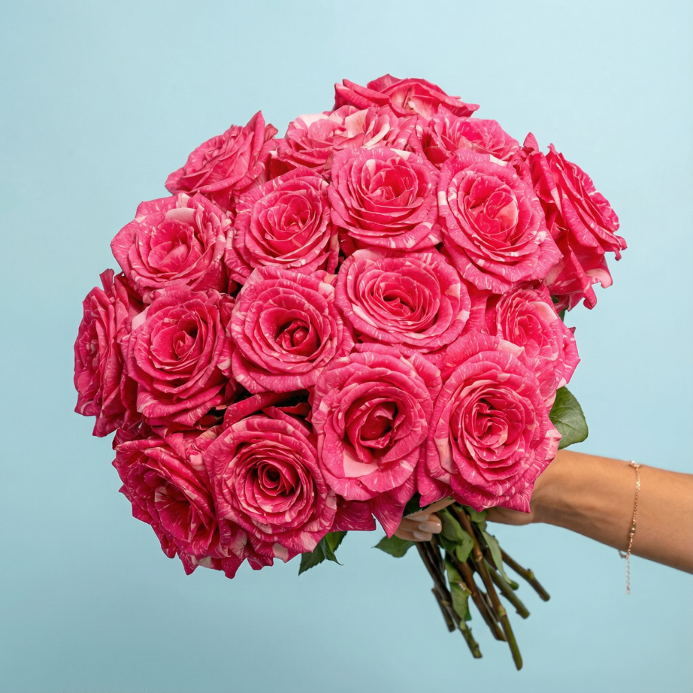 Hot Pink Striped Roses Bouquet | Roses Delivery – Rosaholics