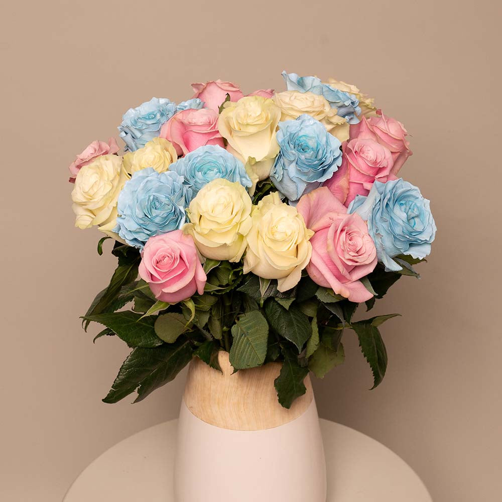 Multicolor Roses | Colored Roses Delivery – Rosaholics