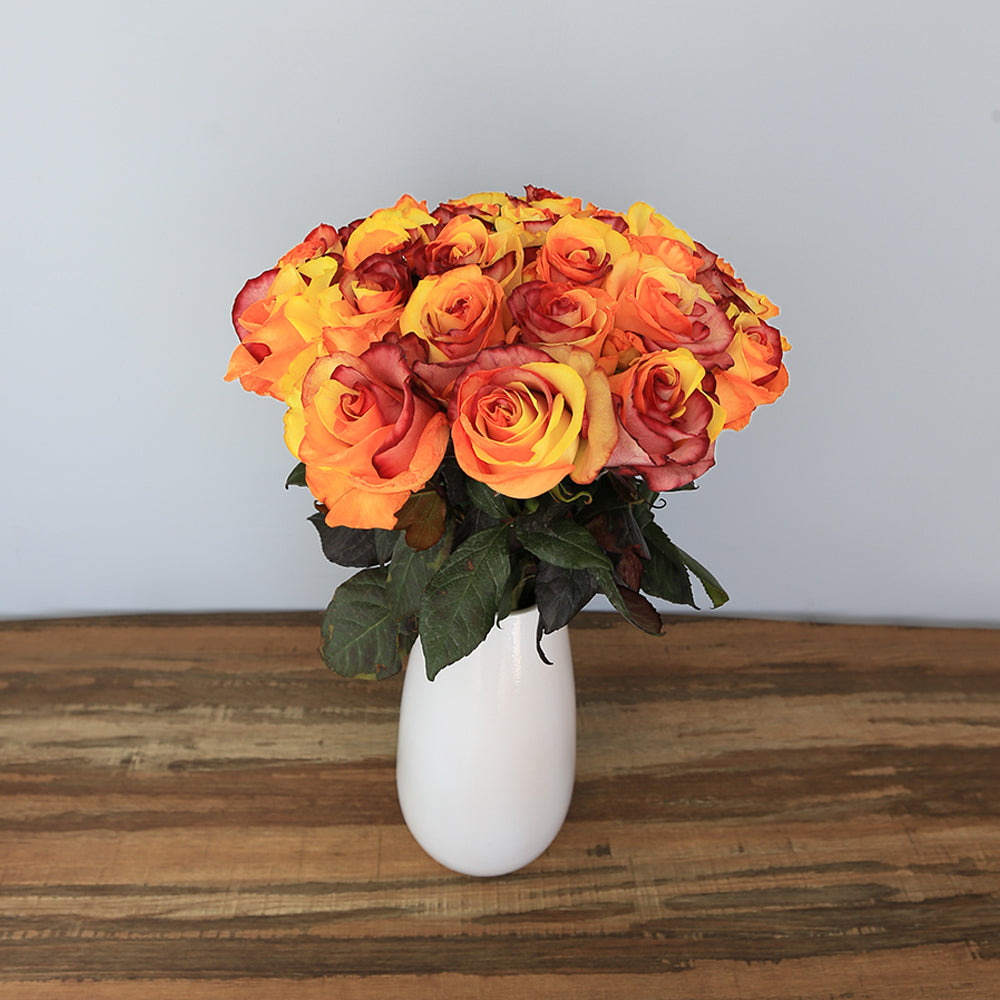 Orange and Brown Fresh Roses | Fall Roses – Rosaholics