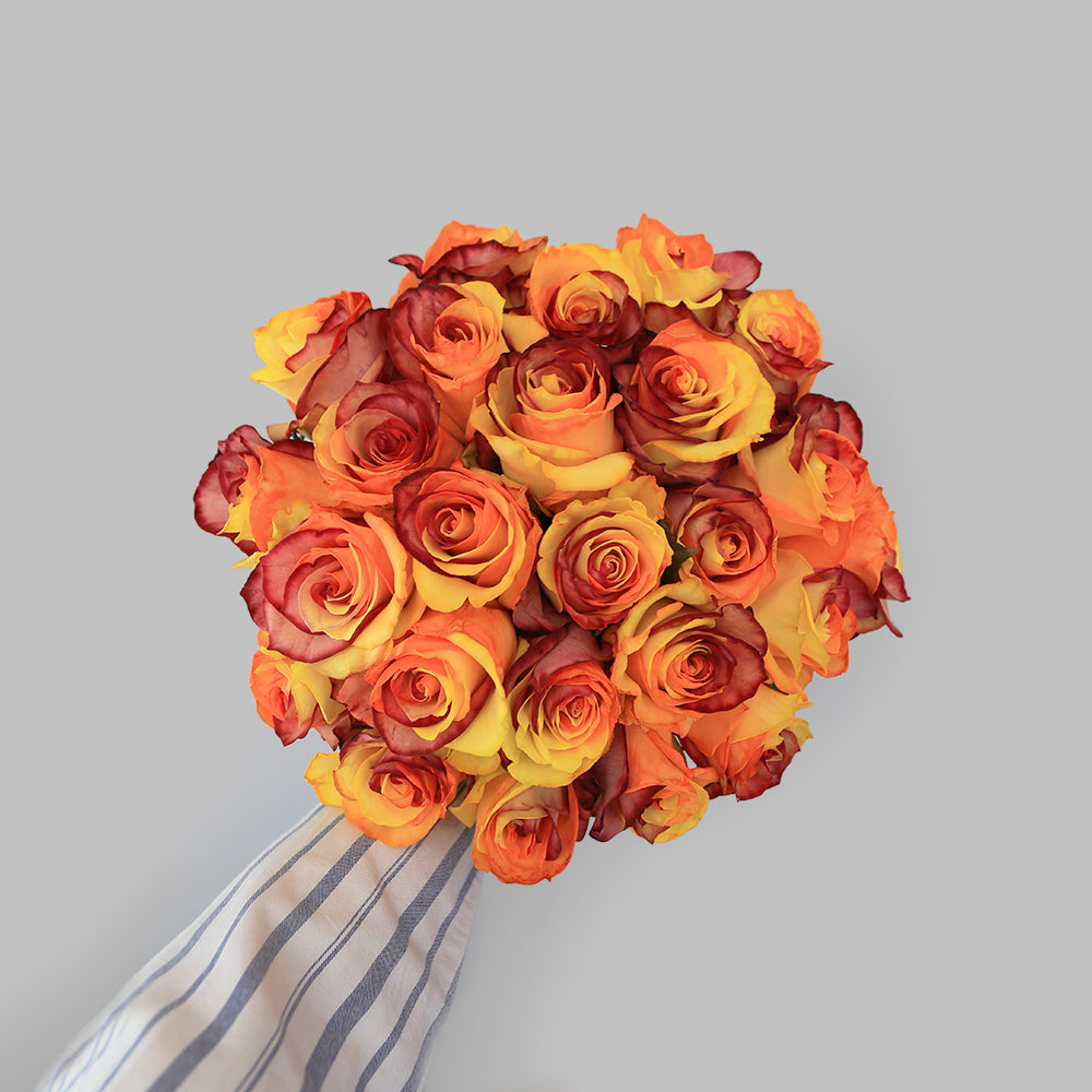 Orange and Brown Fresh Roses | Fall Roses – Rosaholics