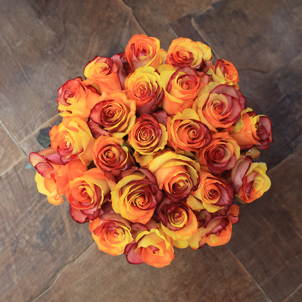 Orange and Brown Fresh Roses | Fall Roses – Rosaholics