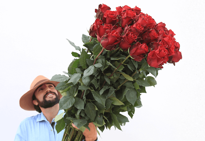 A man smiling and holding up a bouquet of extra long stems roses