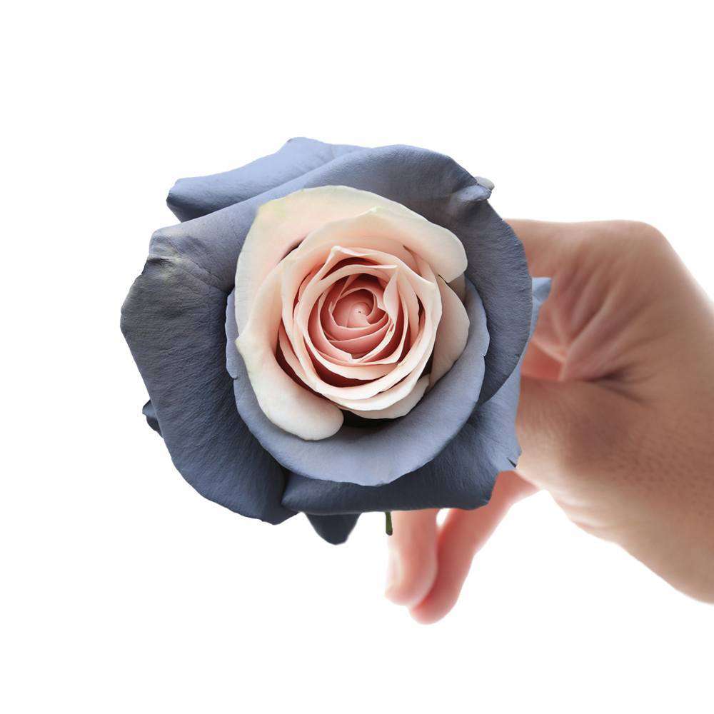 Top 5 Dried Roses Decoration Ideas – Rosaholics