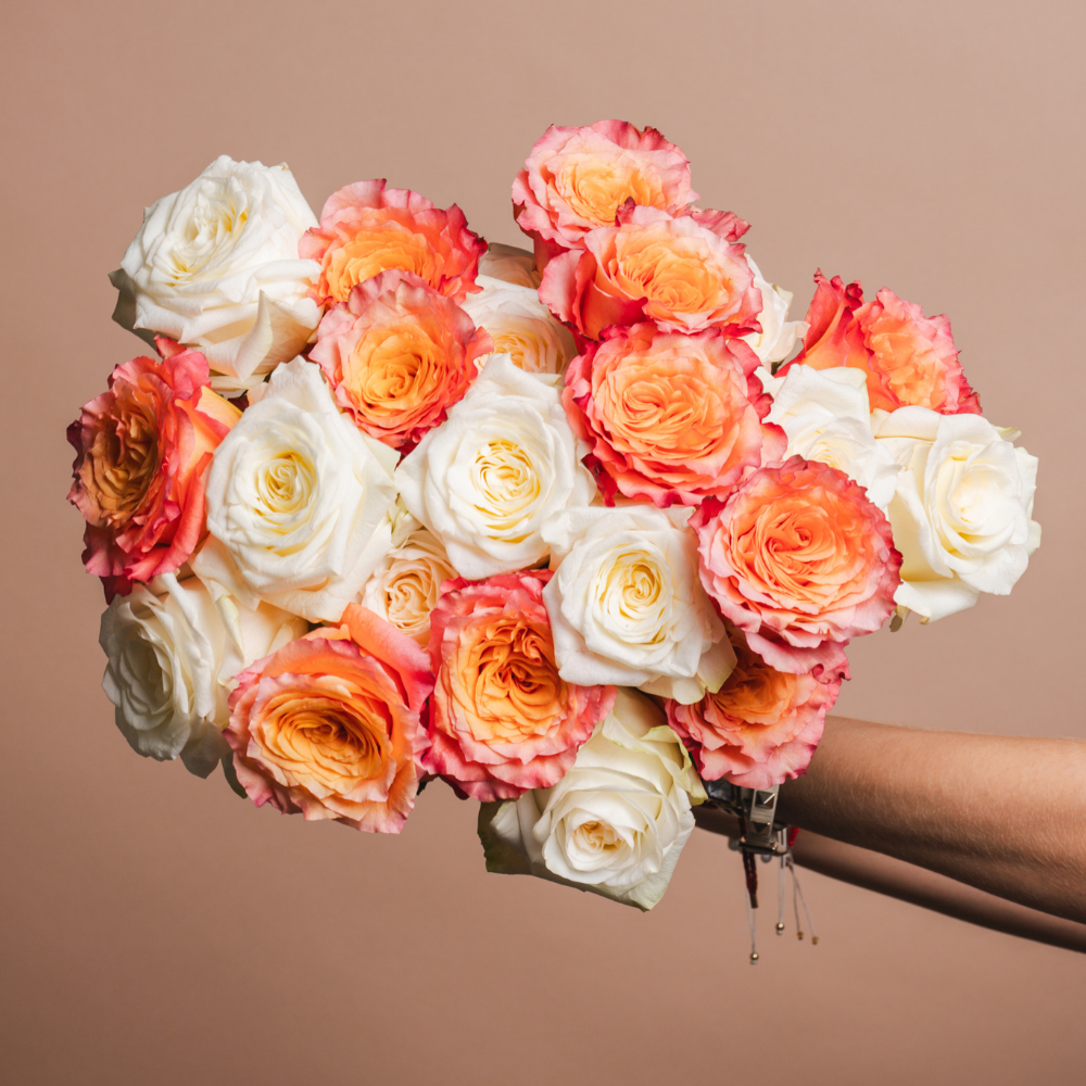 How Many Roses to Give for Different Occasions | Rosaholic – Rosaholics