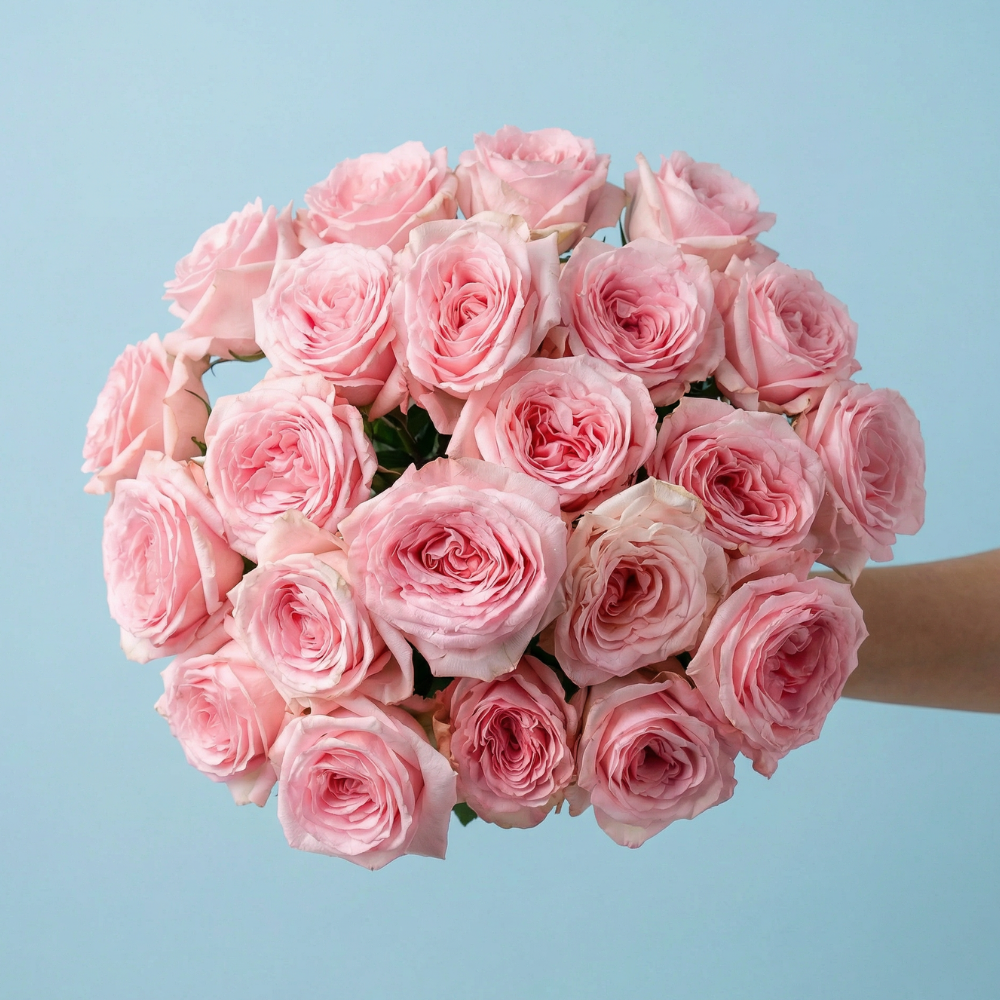 Explore Garden Roses: Pink Serenade at Rosaholics
