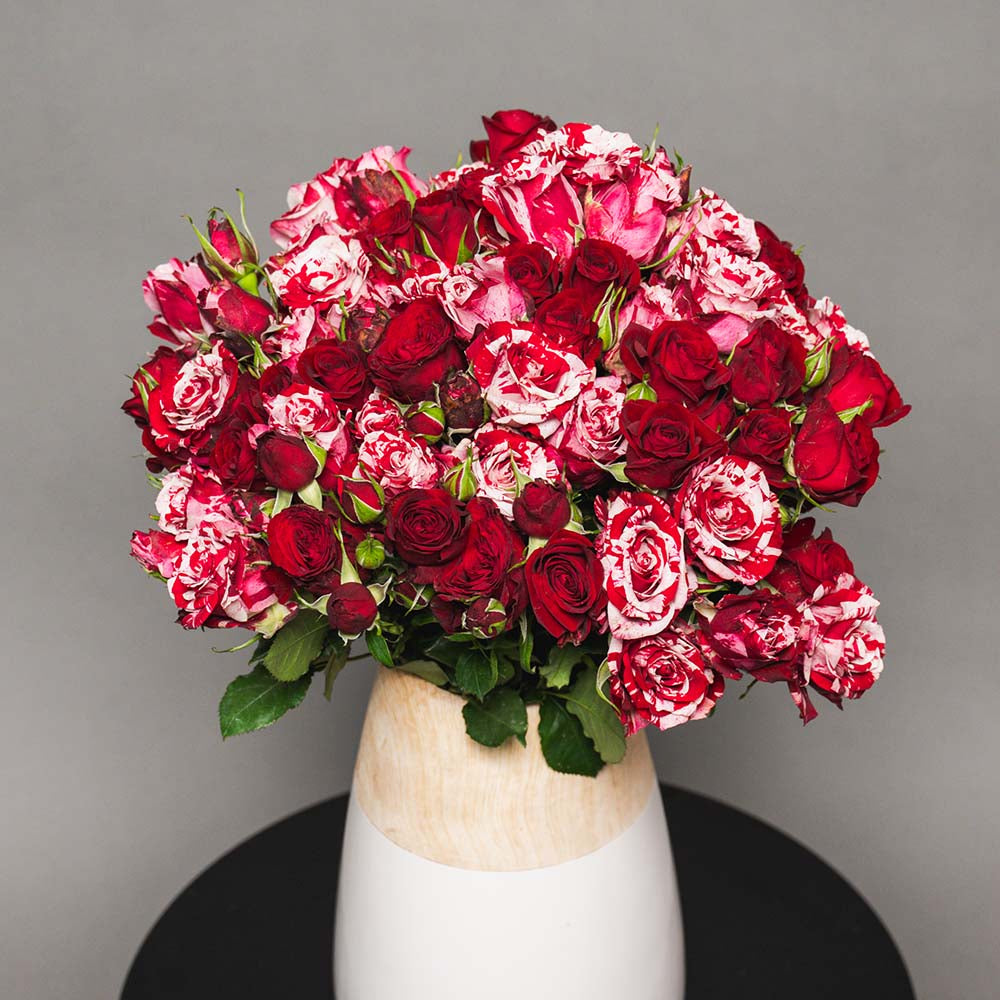 STRAWBERRY_SWIRL_F1_2048x.jpg?