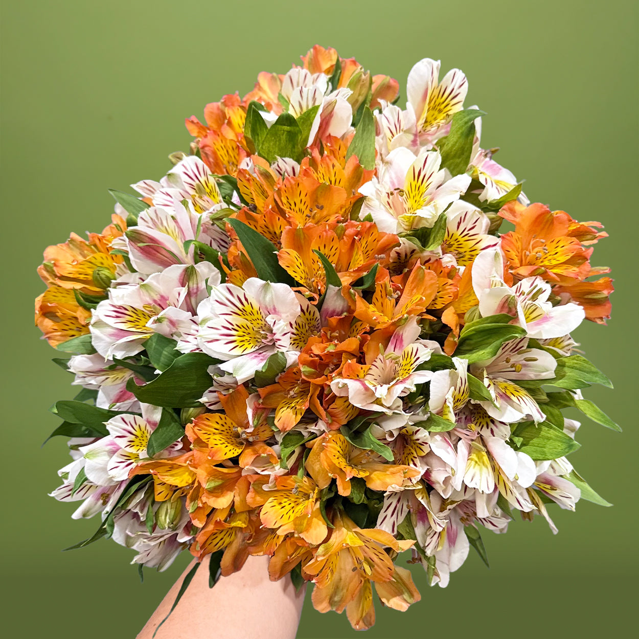 Sempre Armonia Orange & White Bouquet | Rosaholics