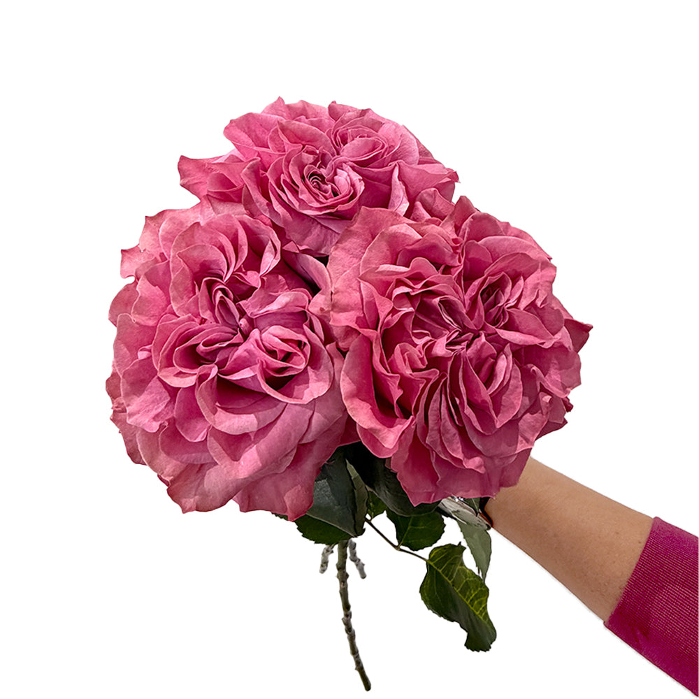 Pink Garden Roses Bouquet - Country Blues - Rosaholics