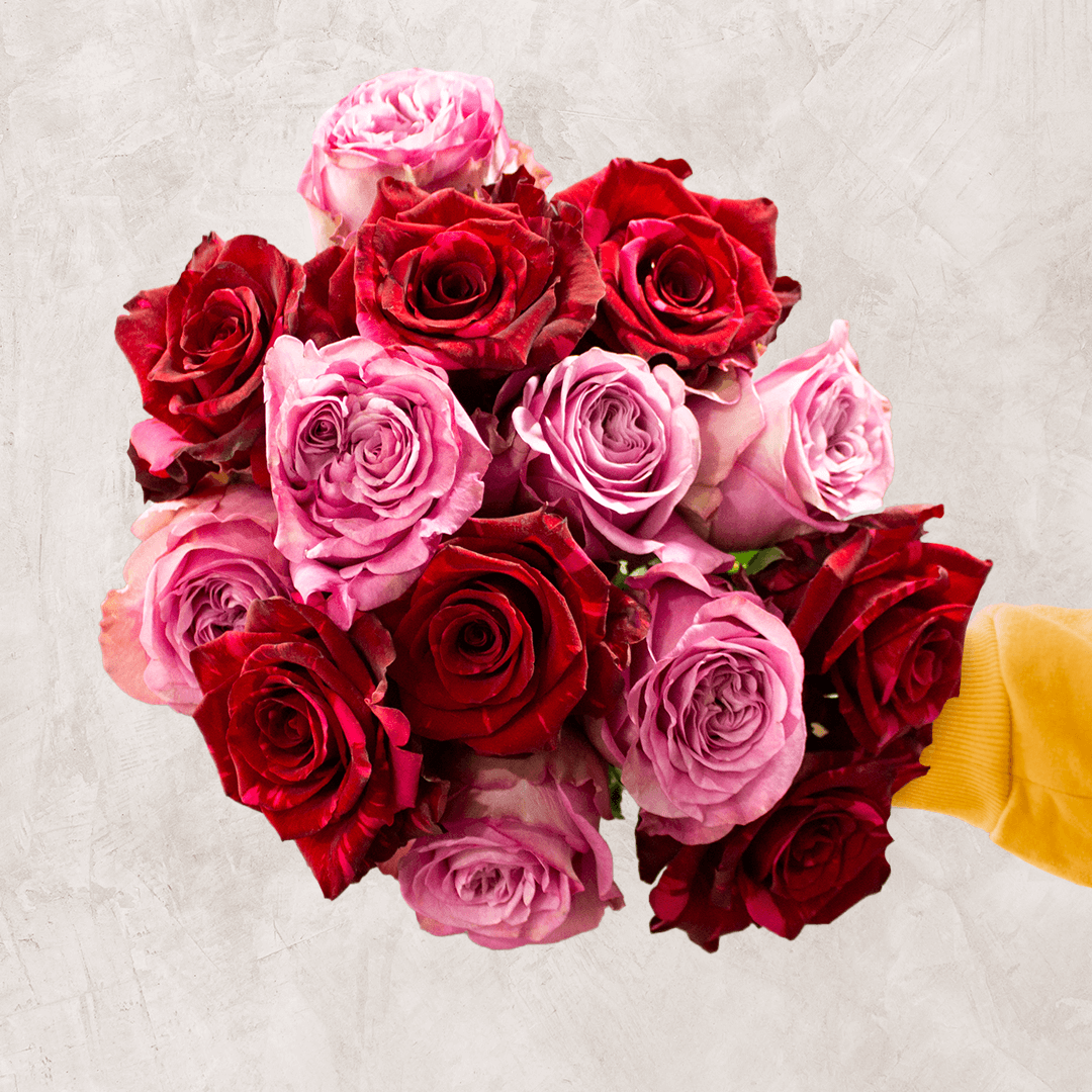 Pink and Red Roses Bouquet | Red Panther Roses – Rosaholics